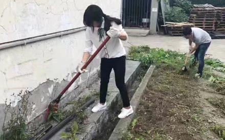 五?四青年節(jié) 廠青年員工揮灑汗水