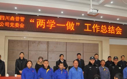 2017年1月20日，公司黨委隆重召開(kāi)“兩學(xué)一做”工作總結(jié)會(huì)。